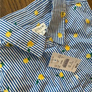 J Crew Lemon and Blue Striped Dress - Never Worn
